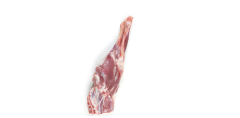 Hand Slaughtered Halal Fresh Baby Lamb Leg